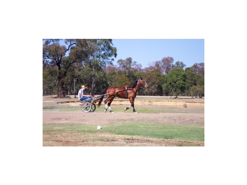 Londonderry NSW 2753