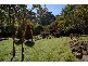 Mount Tomah NSW 2758