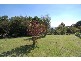 Mount Tomah NSW 2758