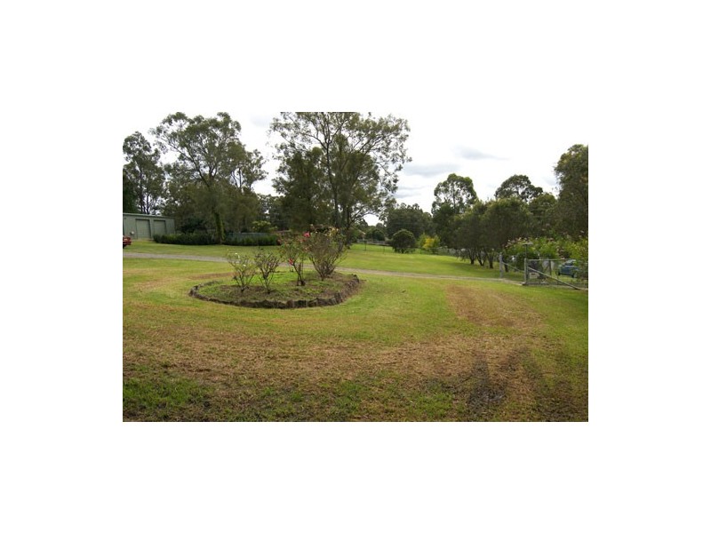 Glossodia NSW 2756