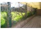 Wilberforce NSW 2756