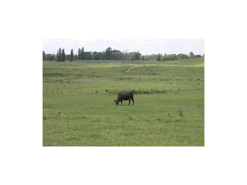 Wilberforce NSW 2756