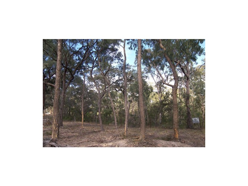 East Kurrajong NSW 2758