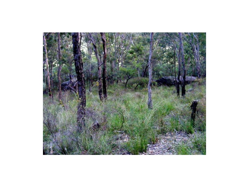 Wisemans Ferry NSW 2775