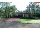 Glossodia NSW 2756