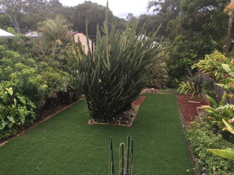 45 Lilley Road, Bardon QLD 4065