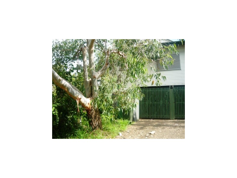 81 Frederick Street, Toowong QLD 4066
