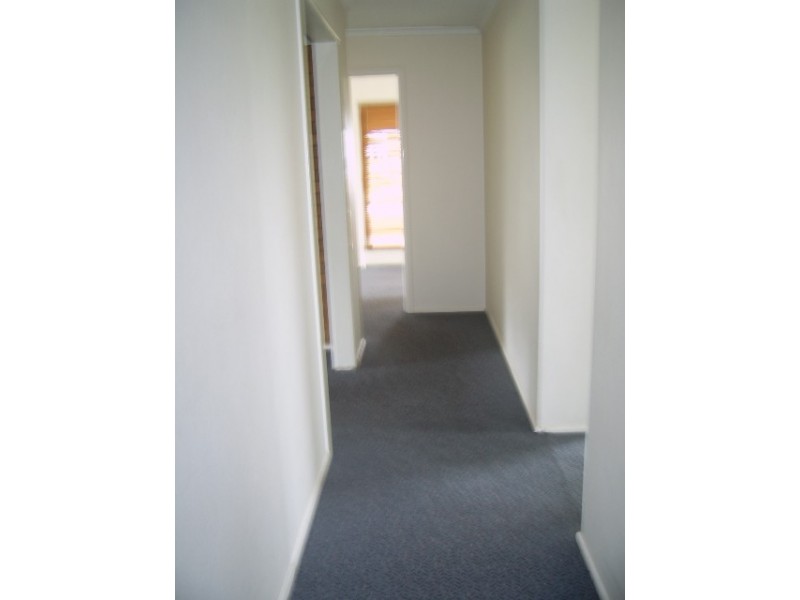Kelvin Grove QLD 4059