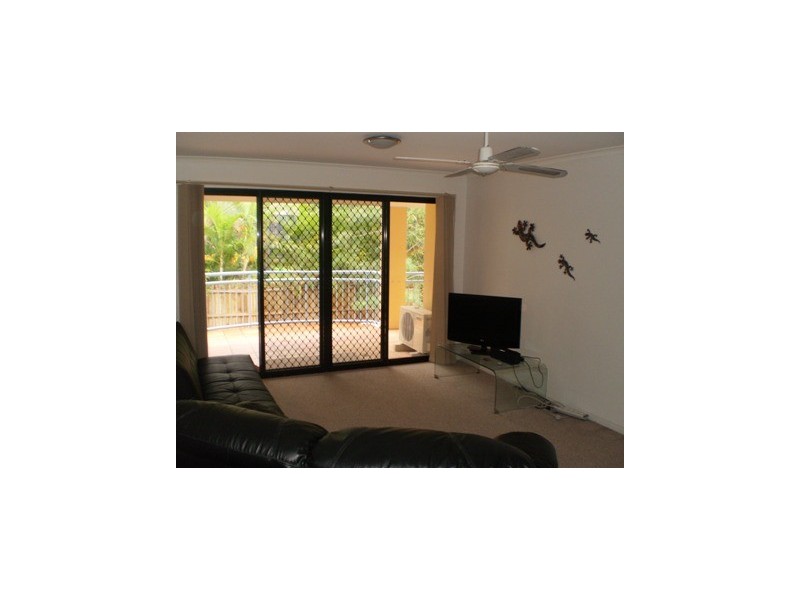 11/81 Guthrie Street, Paddington QLD 4064