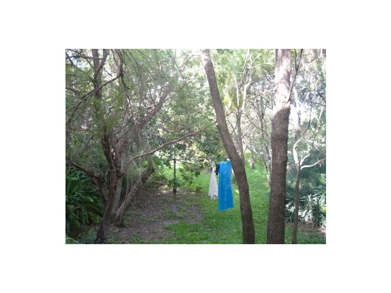 52 Trout Street, Ashgrove QLD 4060