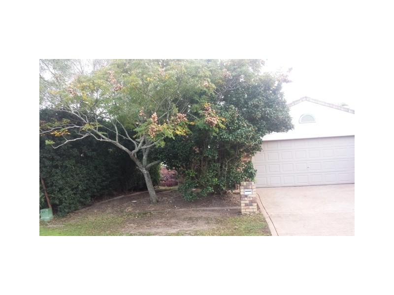 16 Mitchell Place, Belmont QLD 4153