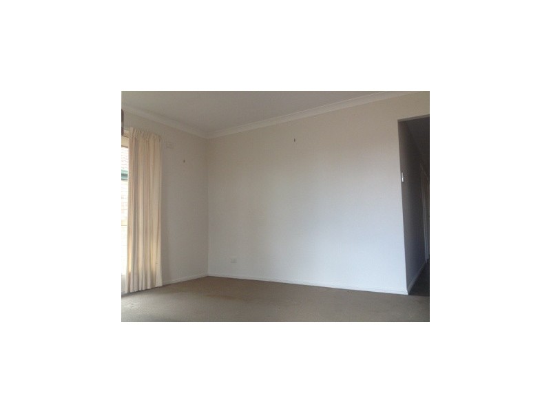 16 Coonungai Place, Tingalpa QLD 4173