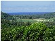 Cudgera Creek NSW 2484