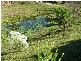 Cudgera Creek NSW 2484