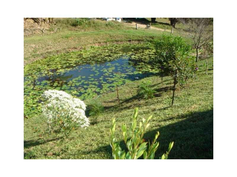 Cudgera Creek NSW 2484