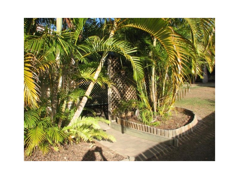 85 Dahlia Street, Cannon Hill QLD 4170