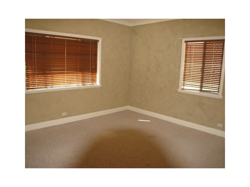 17 Goolara Street, Cannon Hill QLD 4170