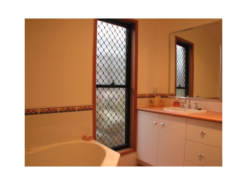 16 David Street, Morningside QLD 4170