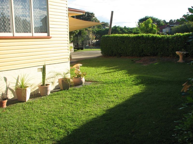 8 Redcar Street, Bulimba QLD 4171
