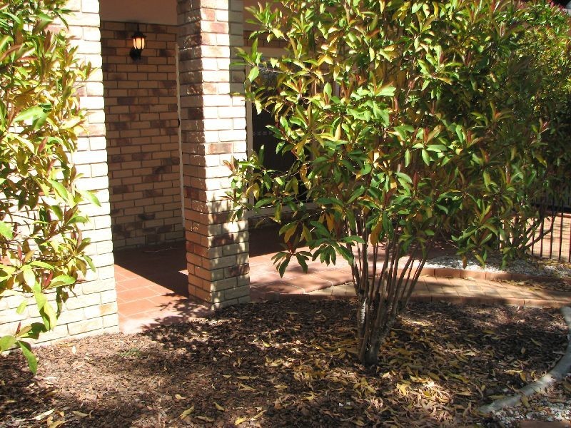 1/183 Norman Avenue, Norman Park QLD 4170