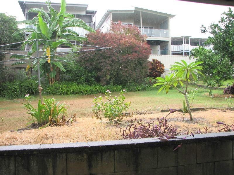 54 Dutton Street, Hawthorne QLD 4171