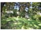72 Dahlia Street, Cannon Hill QLD 4170