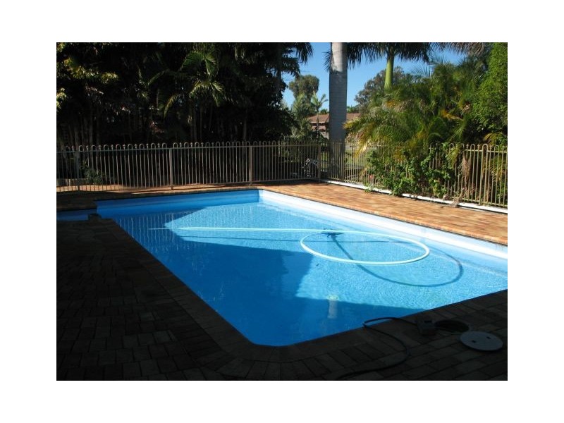 29 Mako Avenue, Birkdale QLD 4159