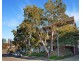 1/28 Bent Street, Neutral Bay NSW 2089