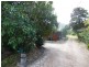 36 Neils Street, Pialba QLD 4655