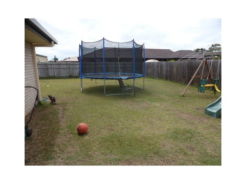 3 Pharlap Court, Point Vernon QLD 4655