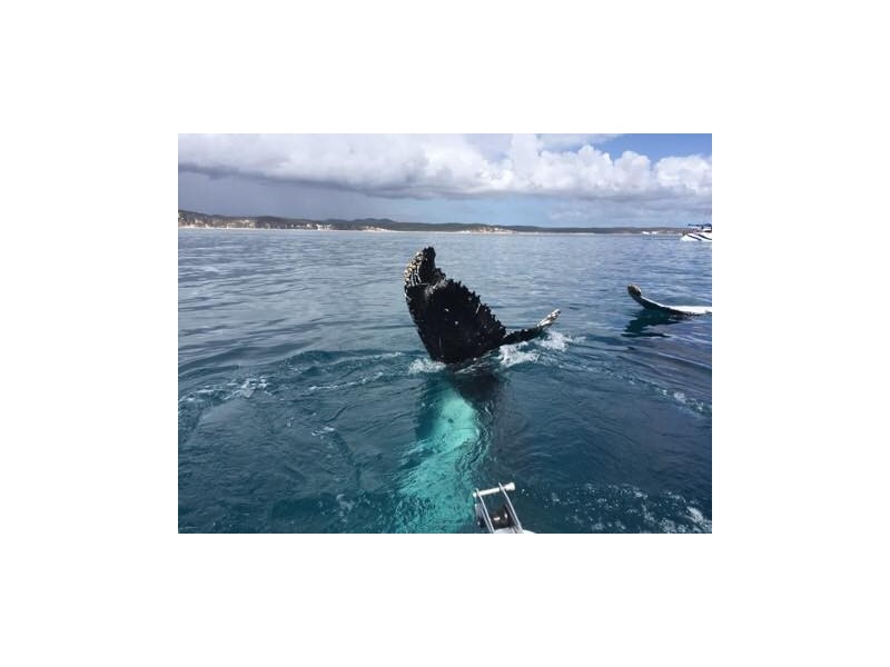 11-26 Corser St, Point Vernon QLD 4655