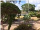 14 Kehlet Street, Point Vernon QLD 4655