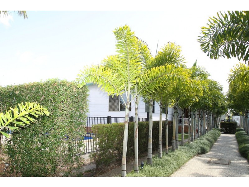 53 Bideford Street, Torquay QLD 4655