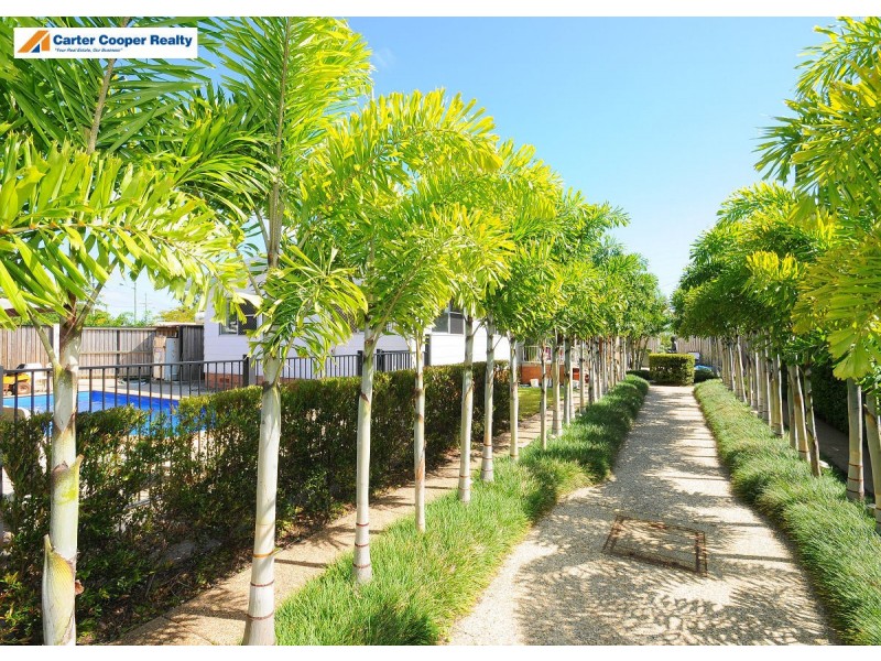 53 Bideford Street, Torquay QLD 4655