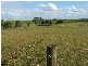 101 SORRENSONS RD, Nikenbah QLD 4655