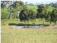 101 SORRENSONS RD, Nikenbah QLD 4655
