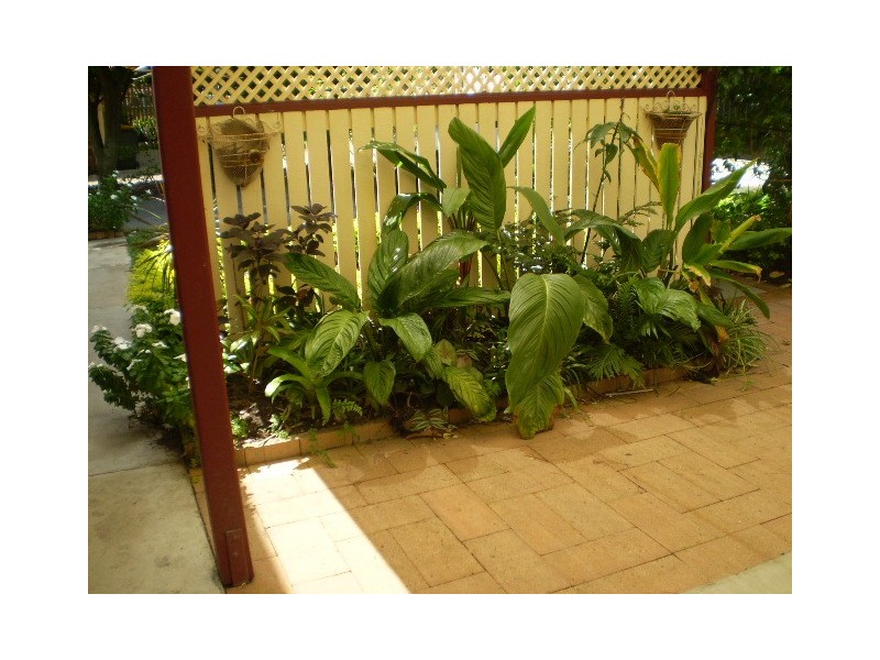 14 Haynes Street, Point Vernon QLD 4655