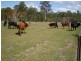 39 Simmos Road, Takura QLD 4655