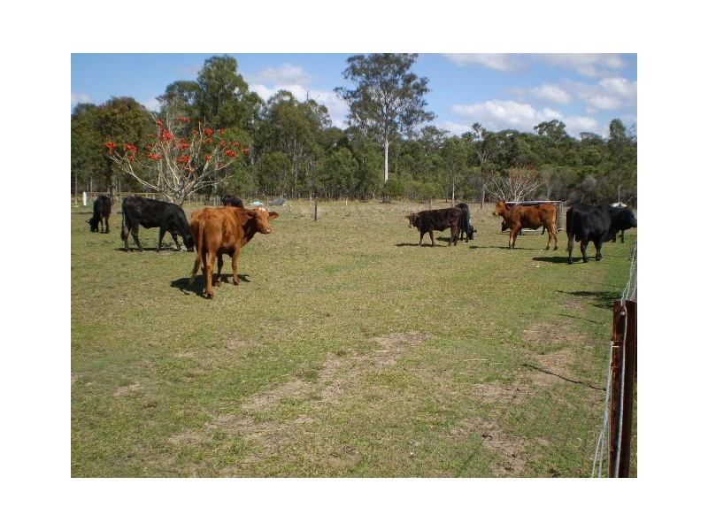 39 Simmos Road, Takura QLD 4655
