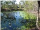 92 Colyton St, Torquay QLD 4655