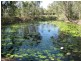 92 Colyton St, Torquay QLD 4655