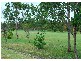 3 Oriole Crt, Eli Waters QLD 4655
