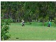 3 Oriole Crt, Eli Waters QLD 4655