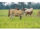 338 Toogoom Road, Beelbi Creek QLD 4659