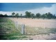 338 Toogoom Road, Beelbi Creek QLD 4659