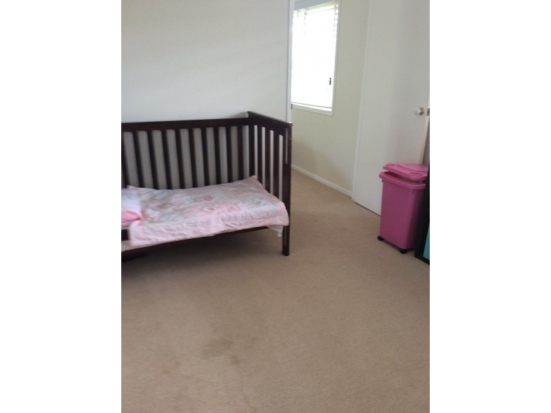 17 Cathy Place, Torquay QLD 4655