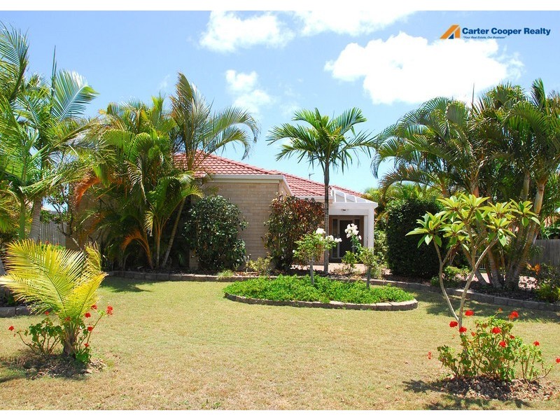 3 Delmo Court, Urraween QLD 4655