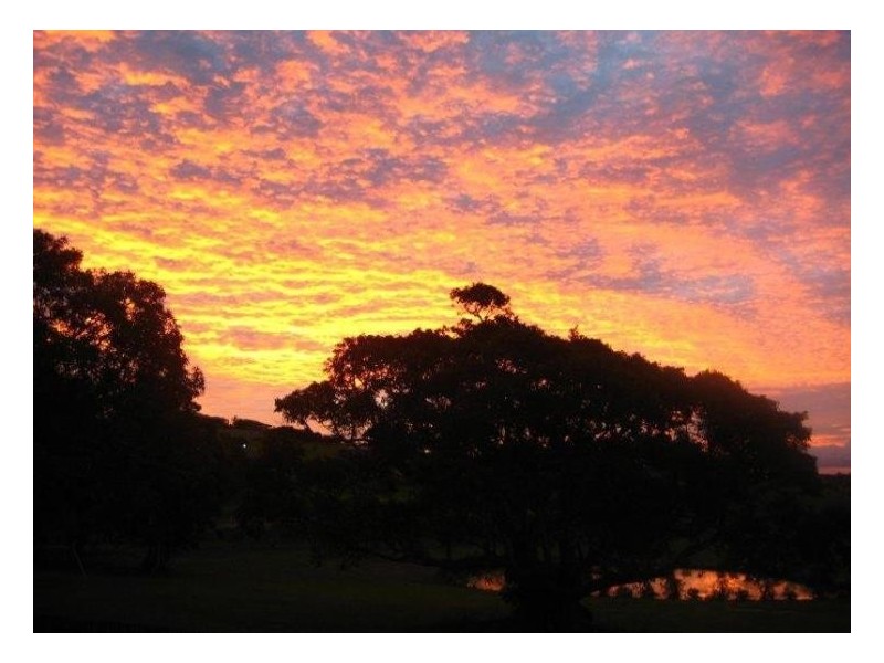 562 Pialba Burrum Heads Road, Dundowran Beach QLD 4655