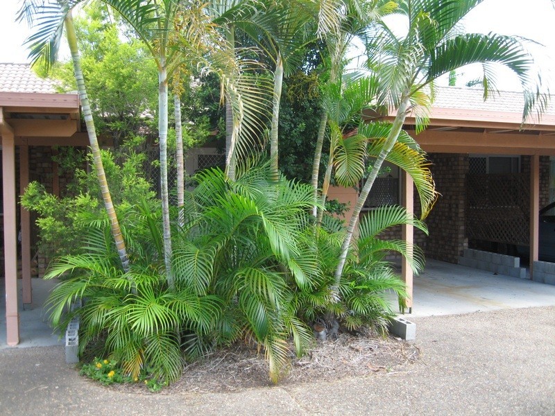 4/74 Winchelsea Street, Pialba QLD 4655