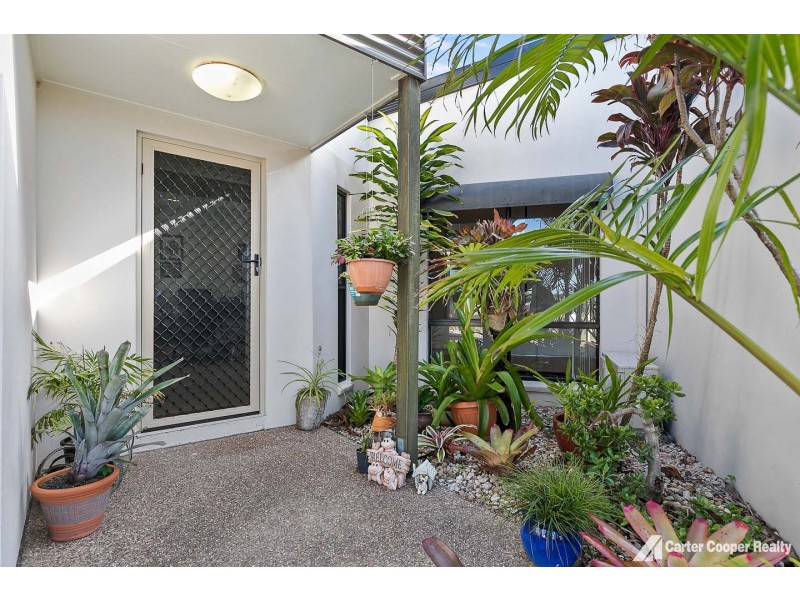 1/8 Golden Grove Court, Eli Waters QLD 4655